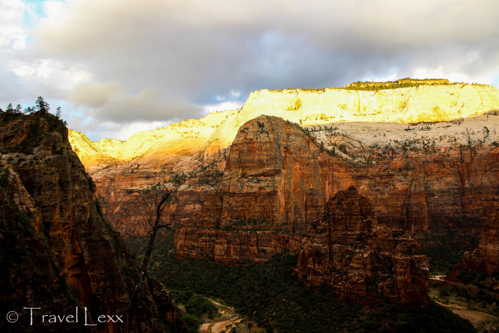 Observation Point