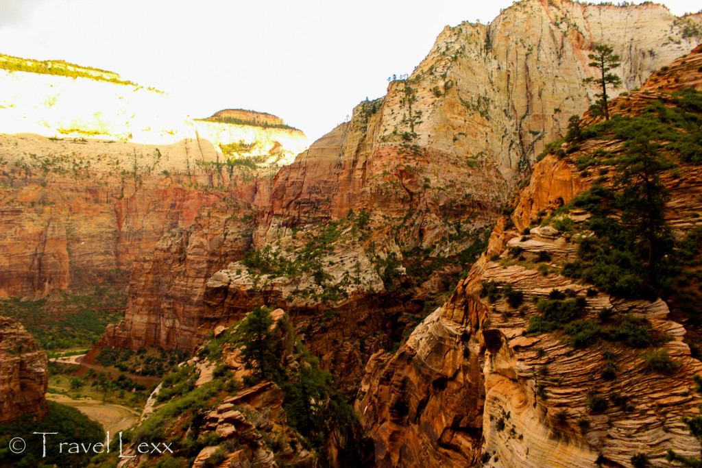 Observation Point