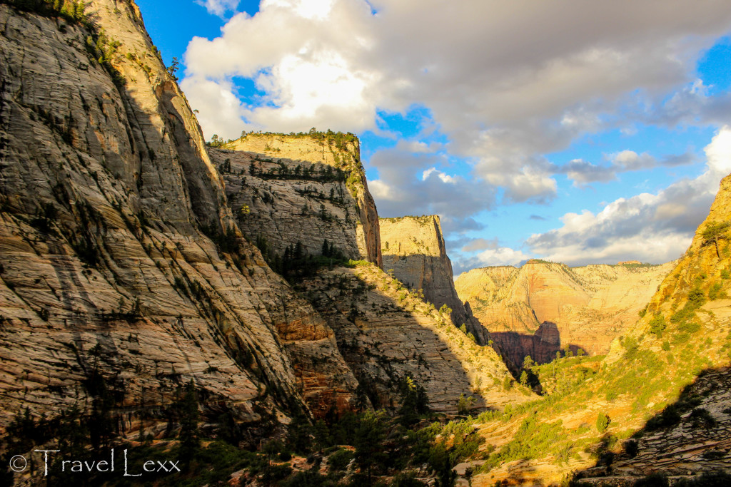 Observation Point