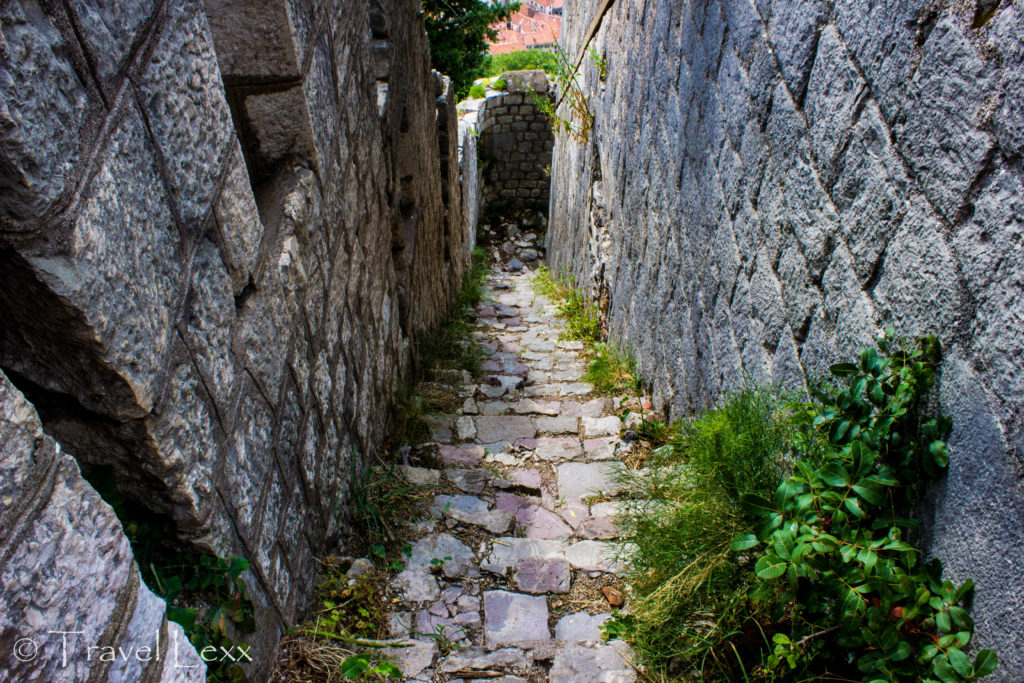 IMG_6679
