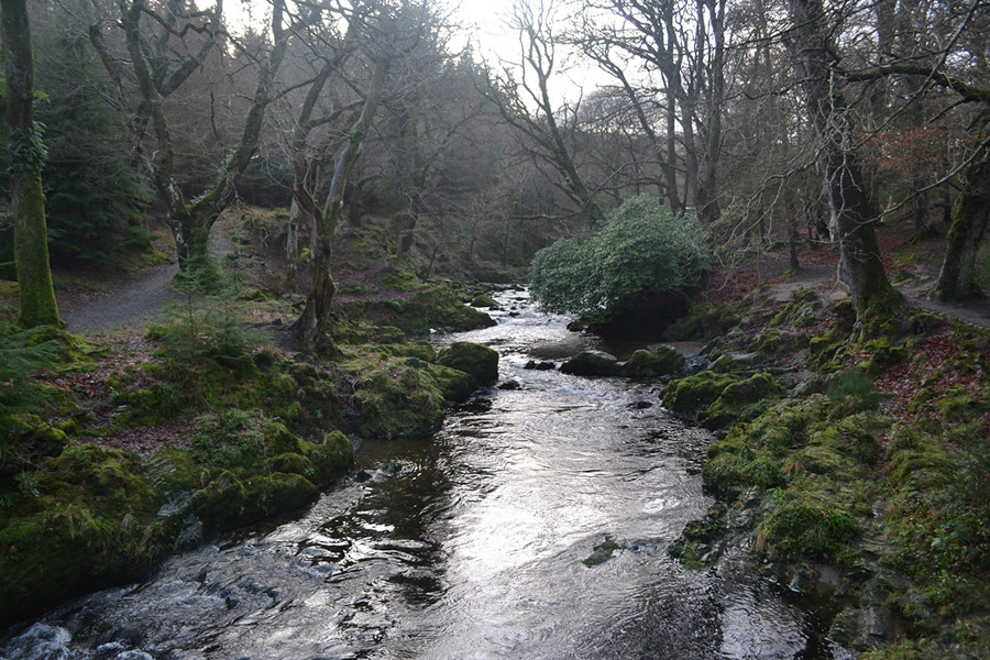 Tollymore Forest Park - Best hikes in the world