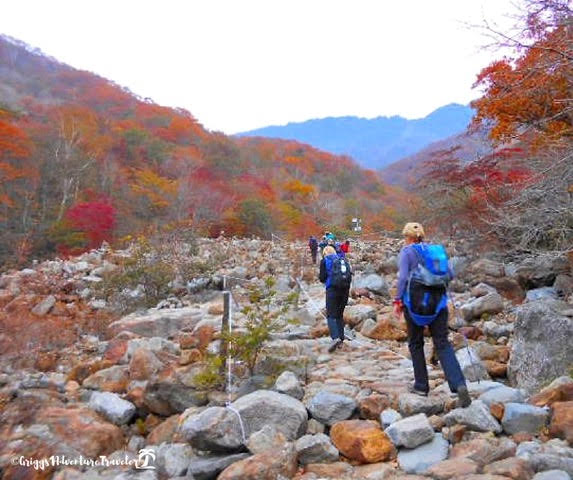 Jirisan National Park - Best hikes in the world
