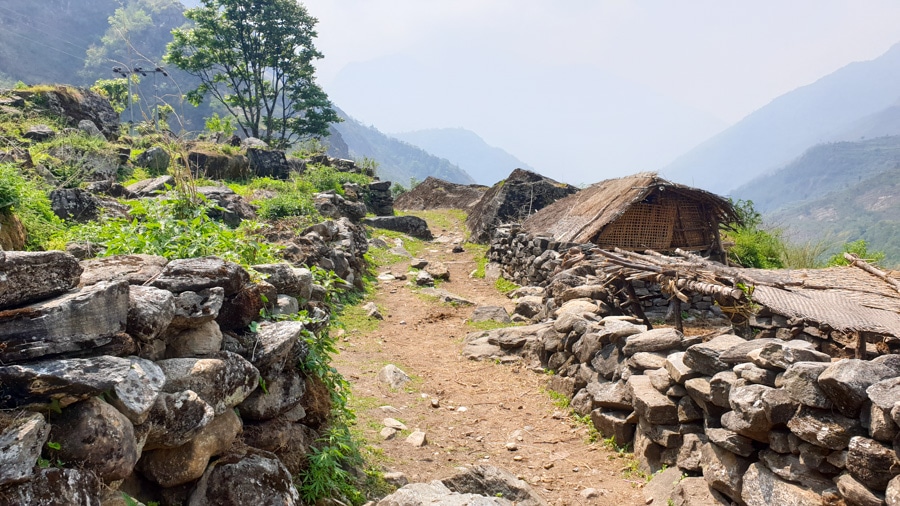A path passing low stone walls and a straw-roofed house