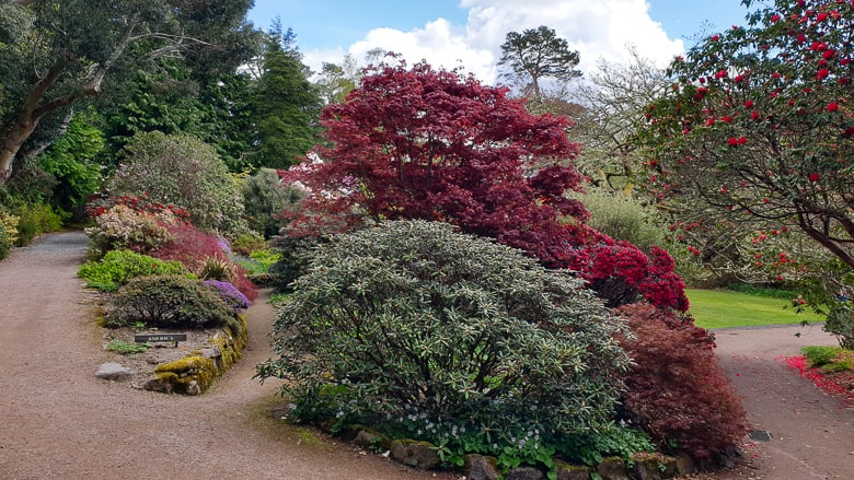 Colourful trees and plants in Invereww Garden in Poolewe